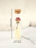 Home Decor - Desk Art - Mini Rose in Glass Tube