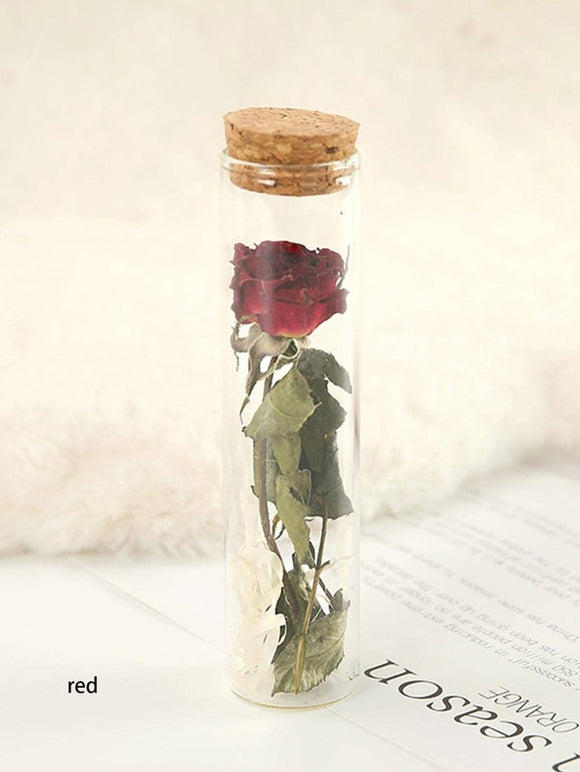 Home Decor - Desk Art - Mini Rose in Glass Tube